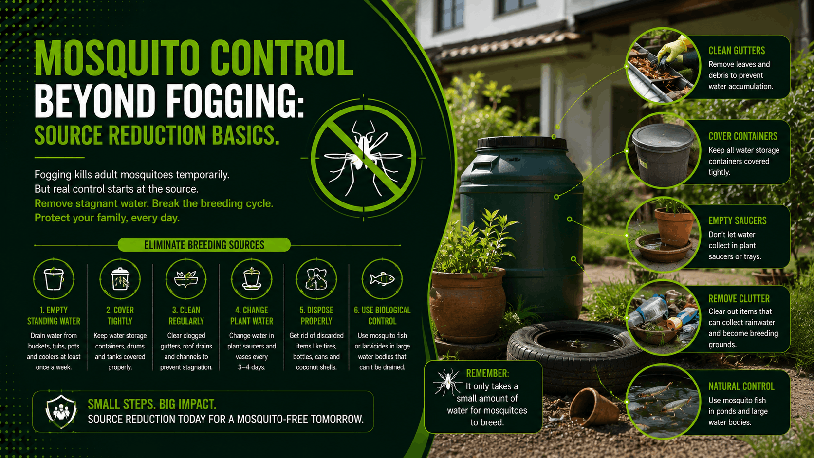 Mosquito Control Beyond Fogging: Source Reduction Basics